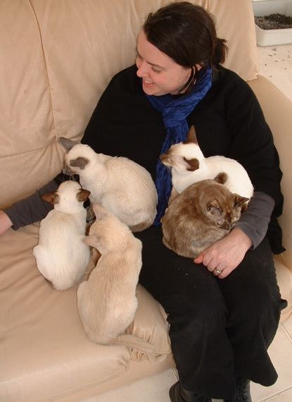 Do cats pine for their owners? Not eating