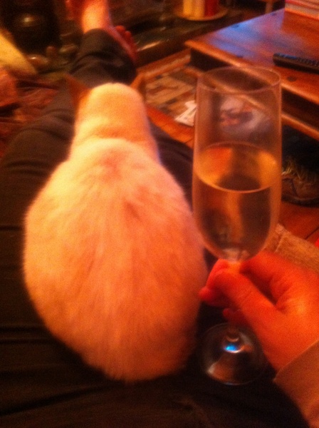 Westministenders Continues. The one where are being grateful for having a Boris rather than a Trump and UKIP show Labour how it’s done.