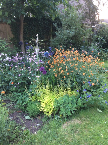 Help me plan my garden - I haven't a clue what I'm doing
