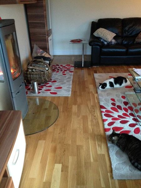 Funky log burners