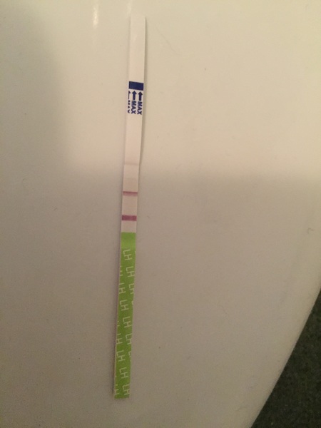 ovulation test opinions please??