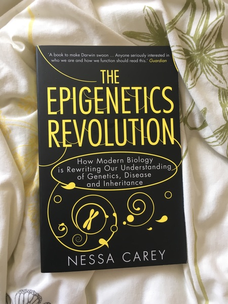 dear mn hq why are so many disablist threads being left up