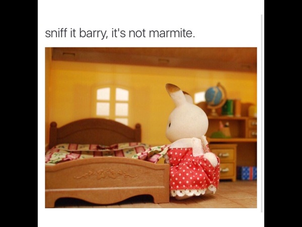 To be sick of DP's poo crumbs?