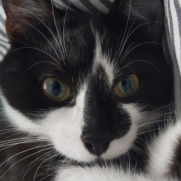 What would you call her?