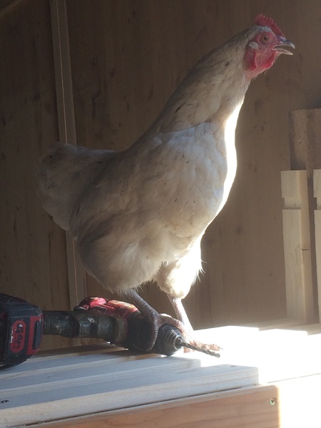What do you mean, not helping?