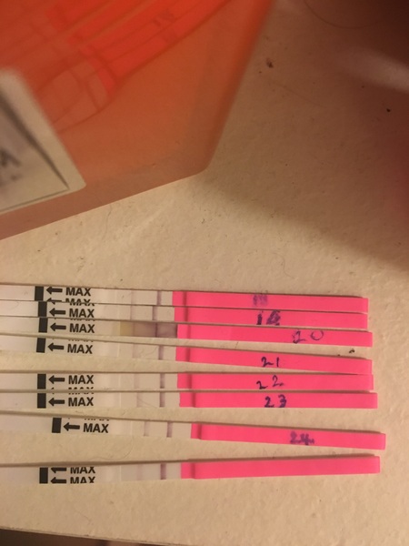 Ovulation