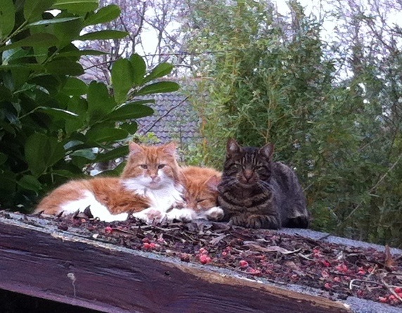 My Scaredy Boys!