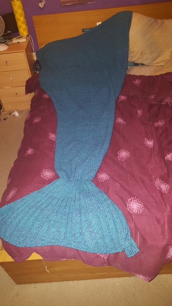 Thread 2 - the one where we all buy a shark pet bed even if we don't have pets