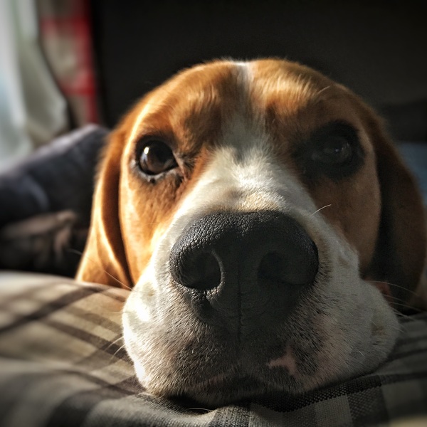 Thread #9 - TTC#1 grads thread - it's the final countdown