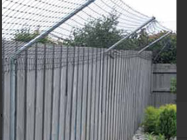 Neighbour throwing turds