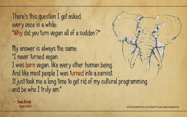 Guest post: "I'd never raise my children as anything but vegan"