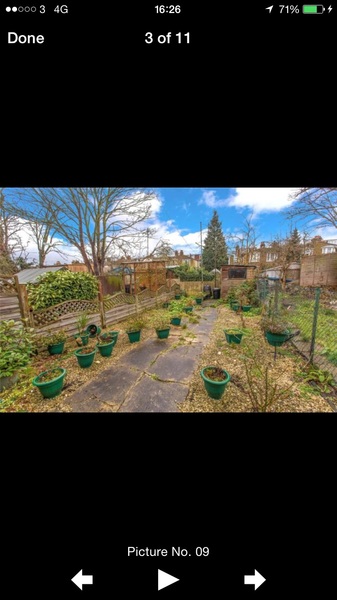 If I show you the back of a house may I have some suggestions please?
