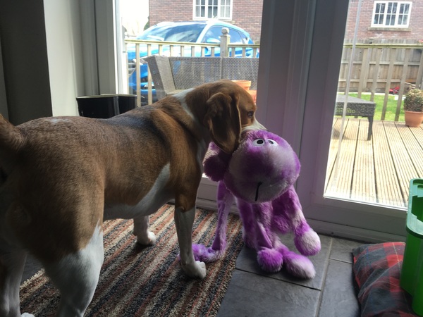 Thread #9 - TTC#1 grads thread - it's the final countdown