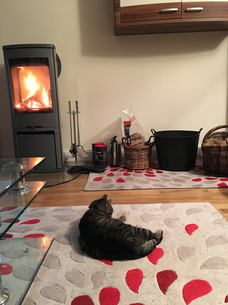 Funky log burners