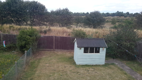 Where to start? Garden planning help gratefully received!