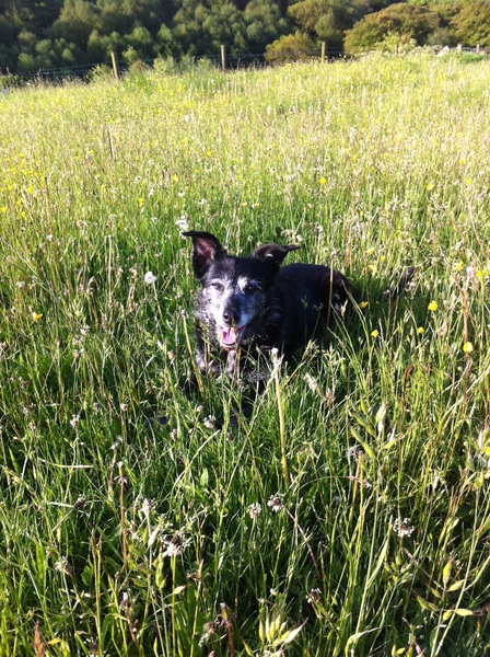 my darling is on her last lap - I need a bit of support