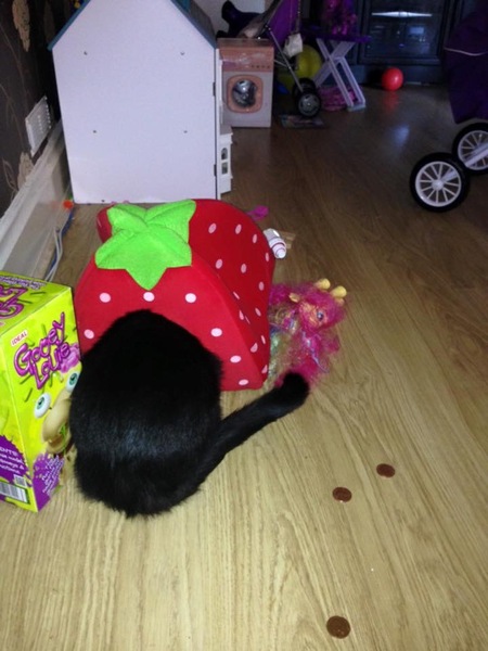 The Christmas bargain thread 1 - the one with no name
