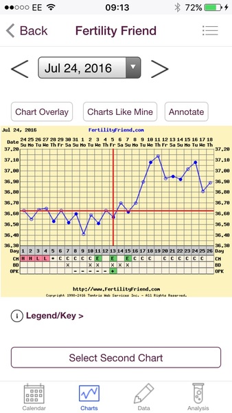 Positive opk after a miscarriage