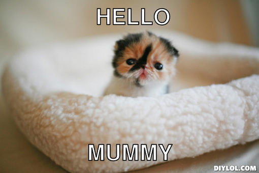 To not want to call my MIL mum?