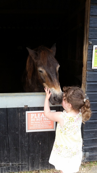 Zombie and Chemo - The Ongoing Saga