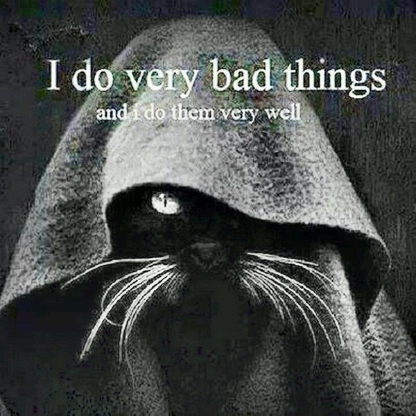 Swagger Inn Thread 136 - Series 3 Finishes - wenches wail piteously, don black crepe and mourn the lack of Musketeers on screen