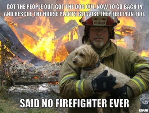 Guest post: "I'd never raise my children as anything but vegan"