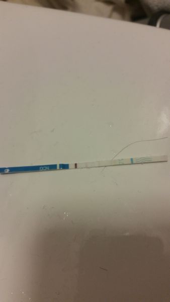 Please look at this test!!