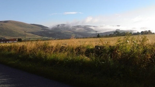 Brave Babes Battle Bus - Holding our heads up like thistles