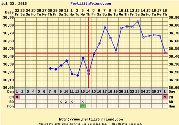 Positive opk after a miscarriage