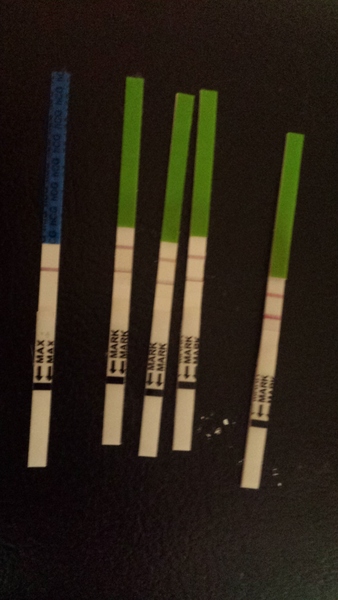 positive opk??