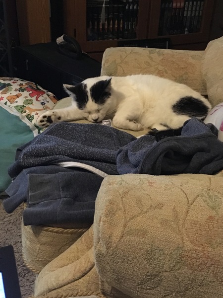 Staying posifrickentive- Thread 10 for ladies pg after mc