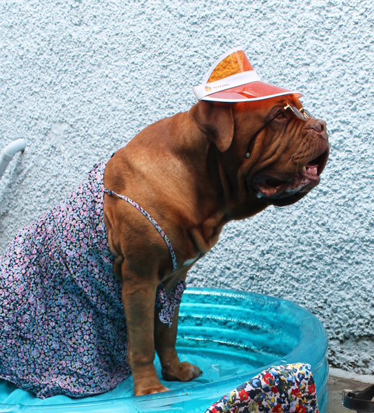 Show Cadbury the shared everyday moments you’ve thought are worth capturing - £265 voucher to be won! NOW CLOSED