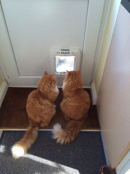 My Scaredy Boys!