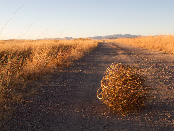 To start the ELEVENTH thread that nobody responds to?