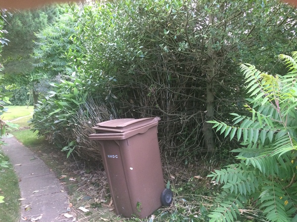 Help me plan my garden - I haven't a clue what I'm doing