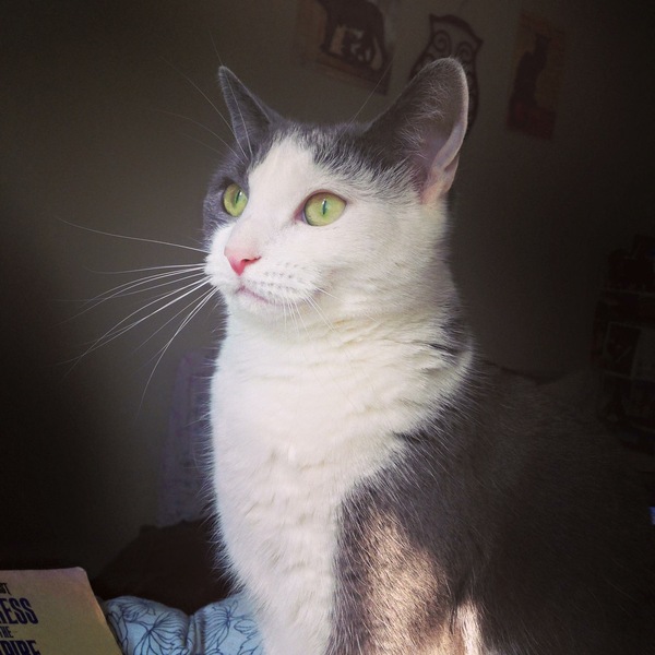 Staying posifrickentive- Thread 10 for ladies pg after mc