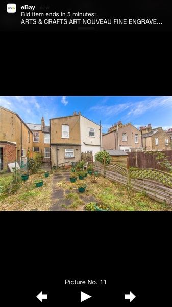 If I show you the back of a house may I have some suggestions please?