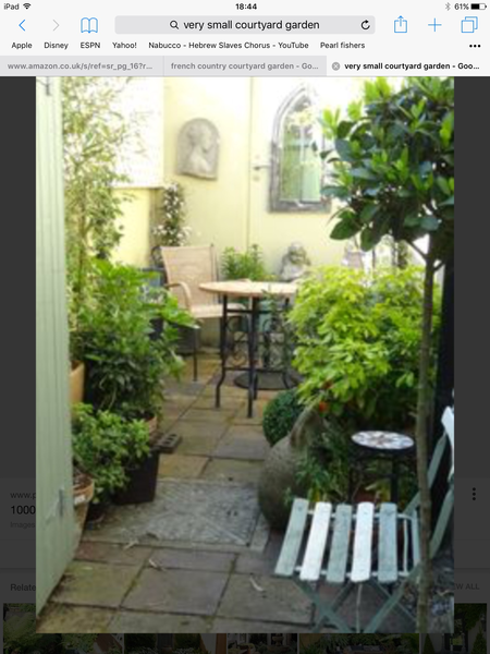 "in the midst of winter, I found there was within me, an invincible summer" Potting shed chat continues here
