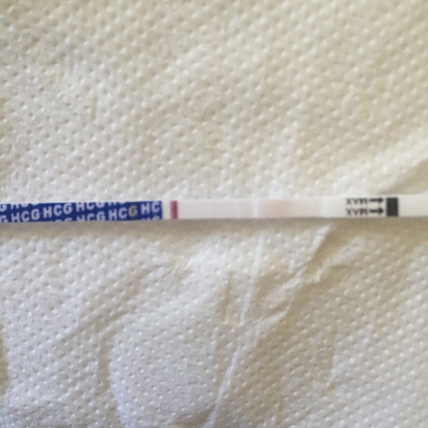 September bfp bus