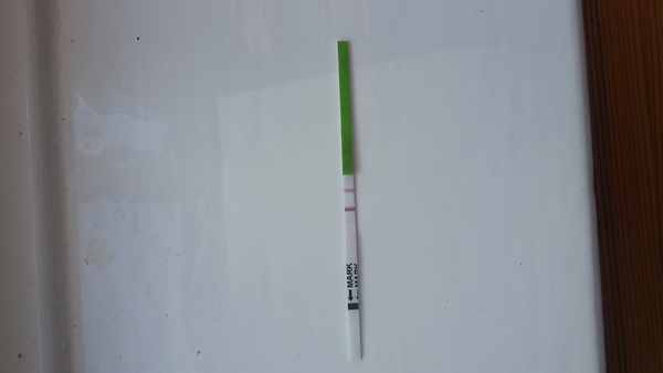 Ttc number 2!