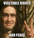 To camp in random fields without permission in England