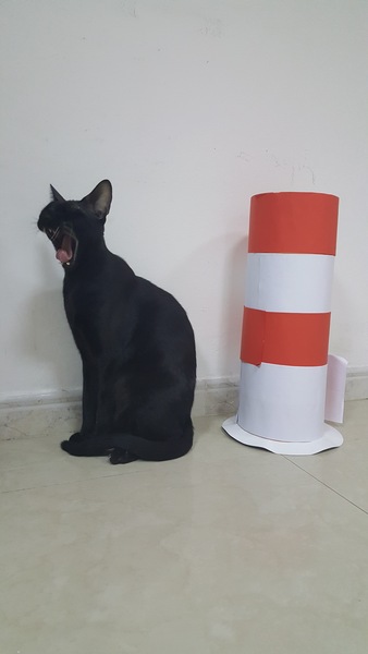 Anything we can do to help our cat be less of a bastard?