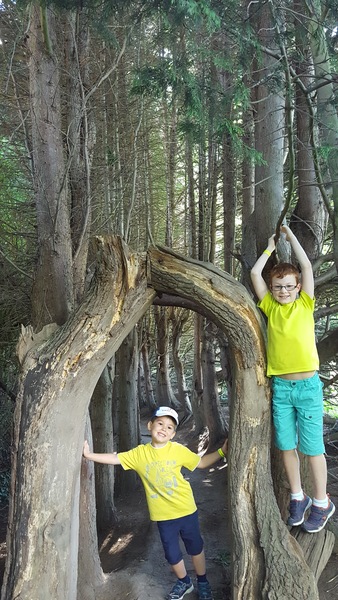 How do you get your children busy and active over the holidays? Tell us for a chance to win Ready Steady Mo!, signed T-shirt PLUS £100 John Lewis vouchers