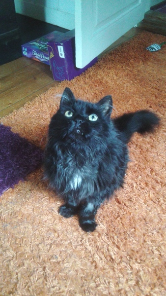 Swagger Inn Thread 136 - Series 3 Finishes - wenches wail piteously, don black crepe and mourn the lack of Musketeers on screen