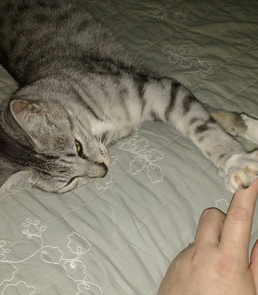Who's got a hot pussy?