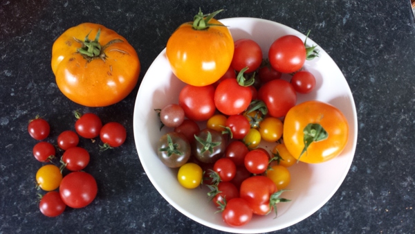 Allotment/Veg Patch Thread 6 -  Weed 'em and Reap!