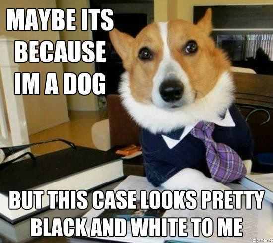 When people say their dog is fine and won't bite?