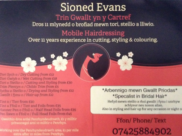 New mobile hairdresser in the Porthmadog area