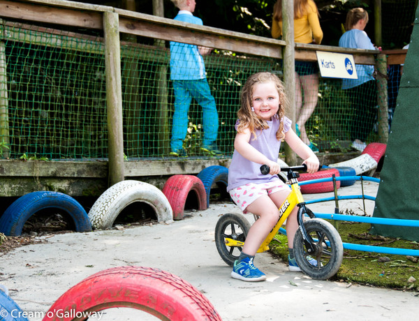 Recommendations for Dumfries and Galloway