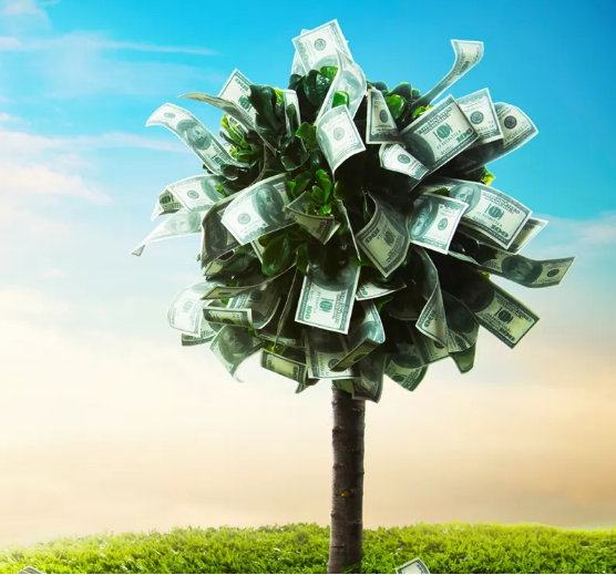 Zombie and Chemo - The Ongoing Saga